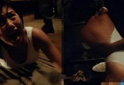 安乐战争在线观看,在线观看，揭秘虚拟世界的生死较量